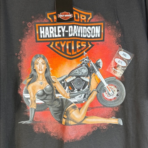 Harley-Davidson Vehicle City,Flint, Michigan Sz 2X - Picture 9 of 10